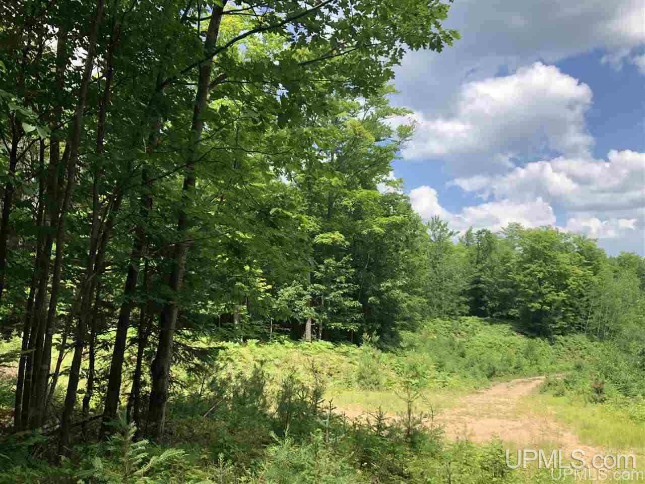 000 N Maplewood Road Property Photo 1