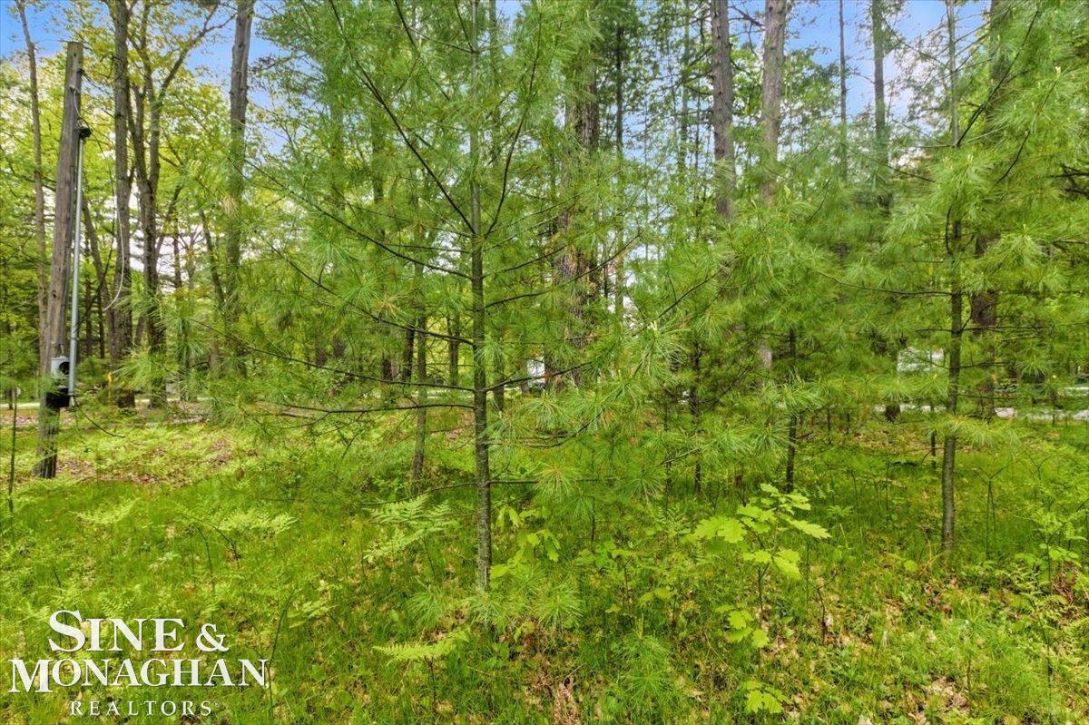 00 Breckenridge Street Property Photo 21