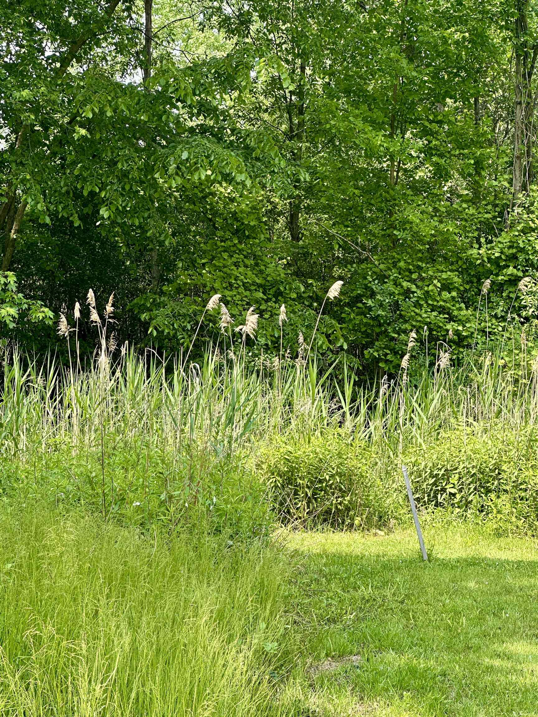 V/l Ledyard Road Property Photo 4