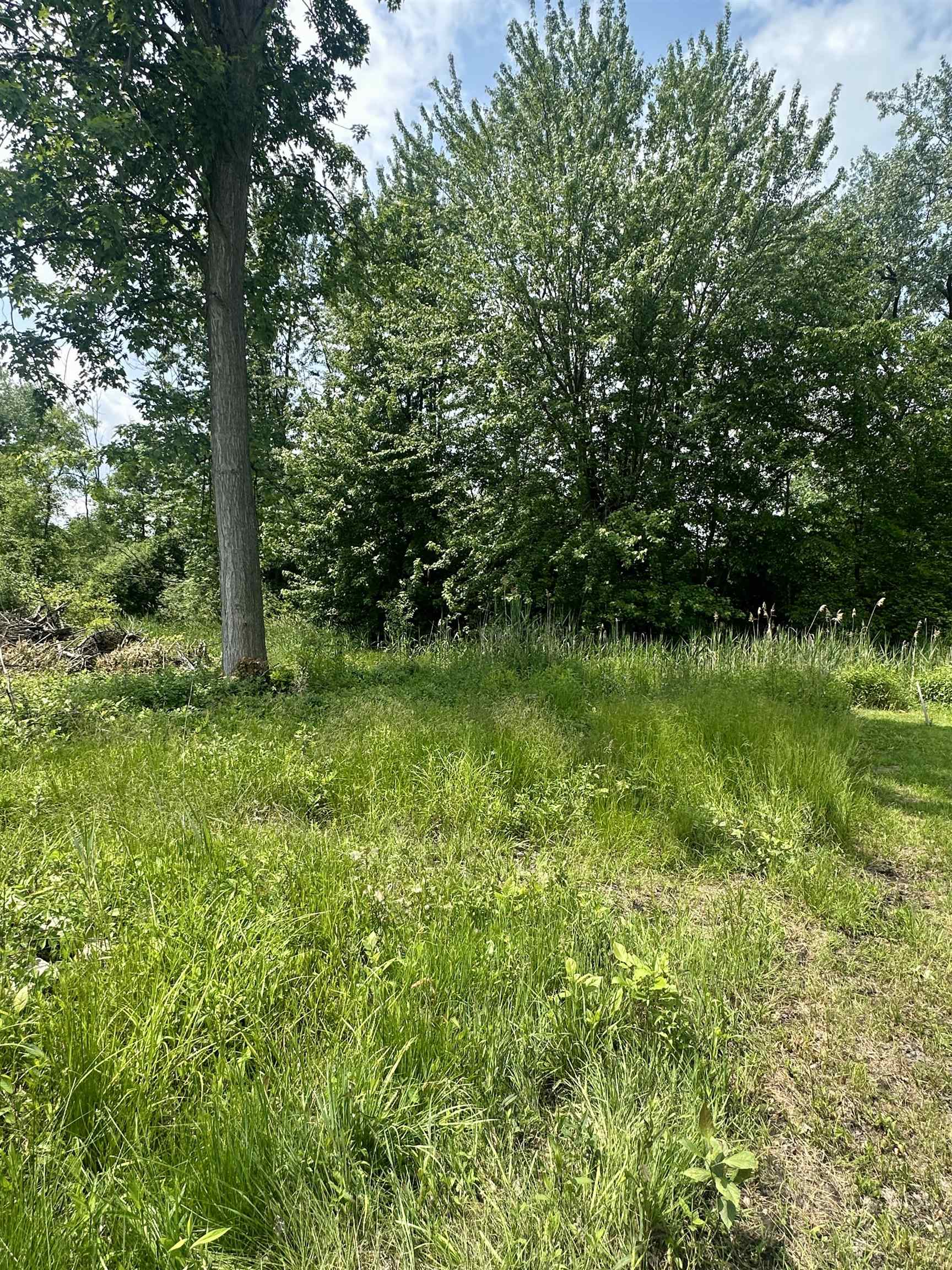 V/l Ledyard Road Property Photo 5