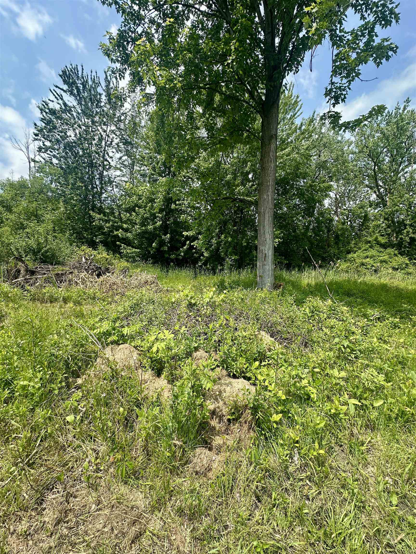 V/l Ledyard Road Property Photo 7