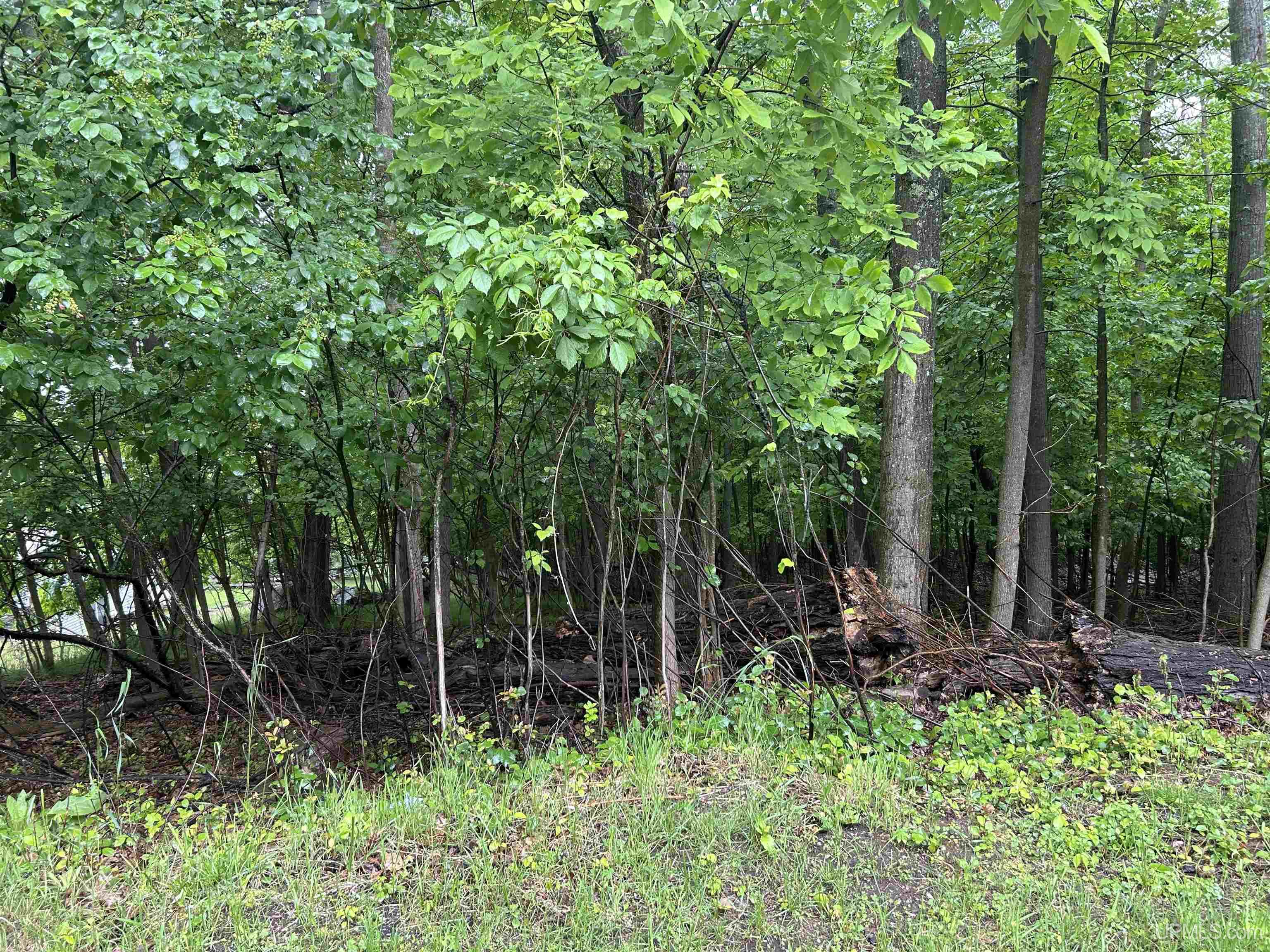 907 E I Street Property Photo 2