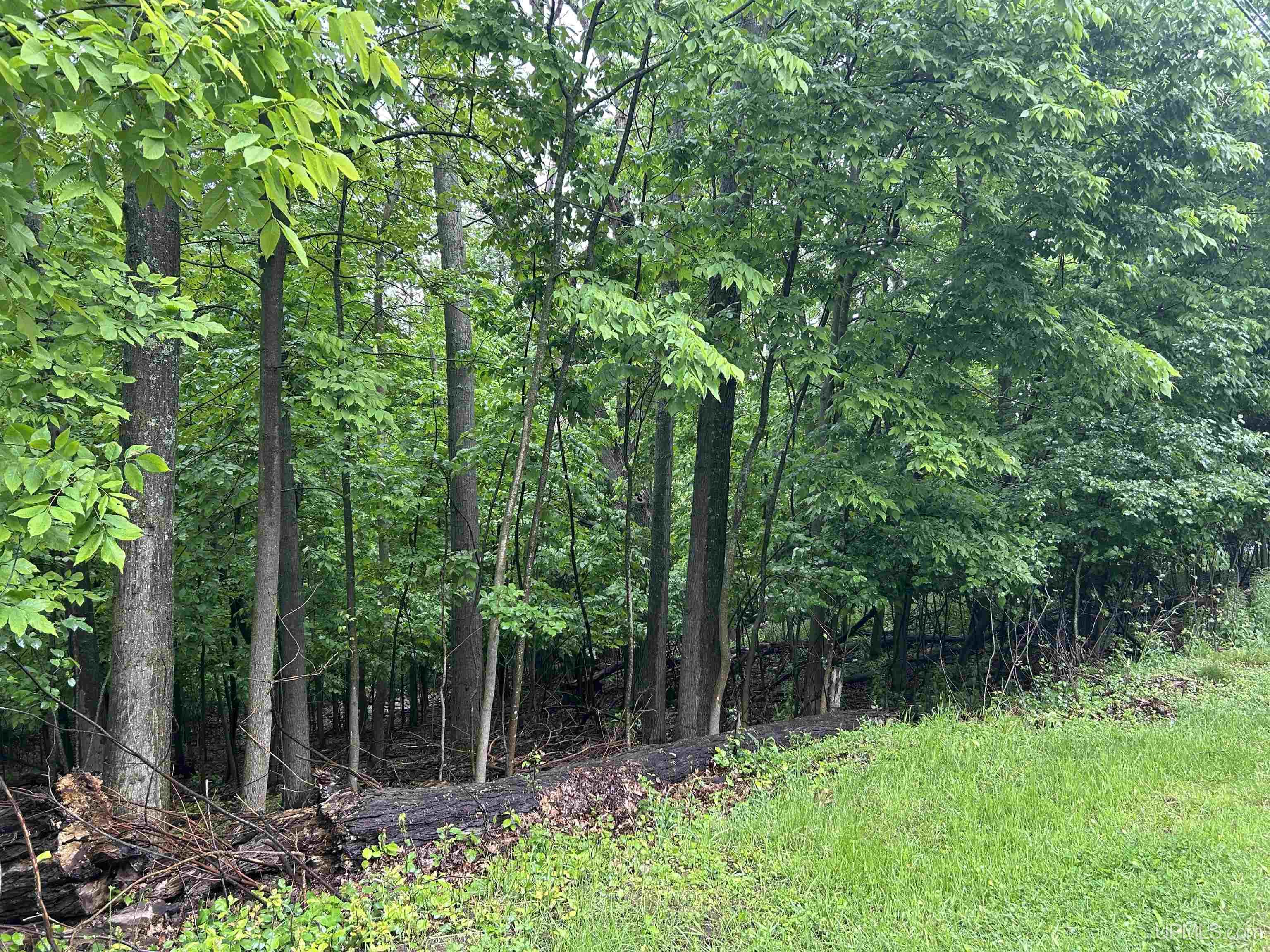 907 E I Street Property Photo 5
