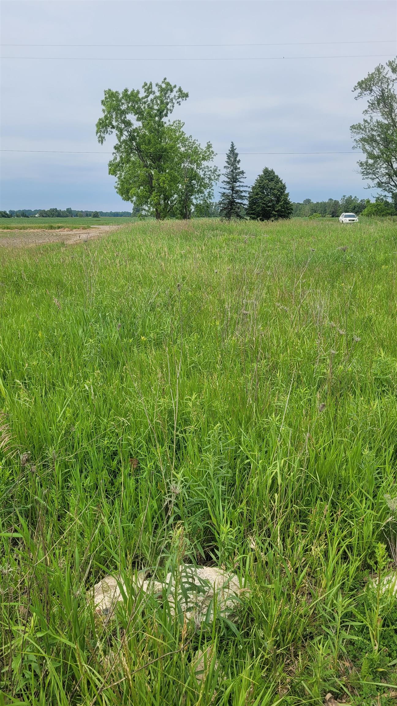 2305 W Juddville Road Property Photo 2