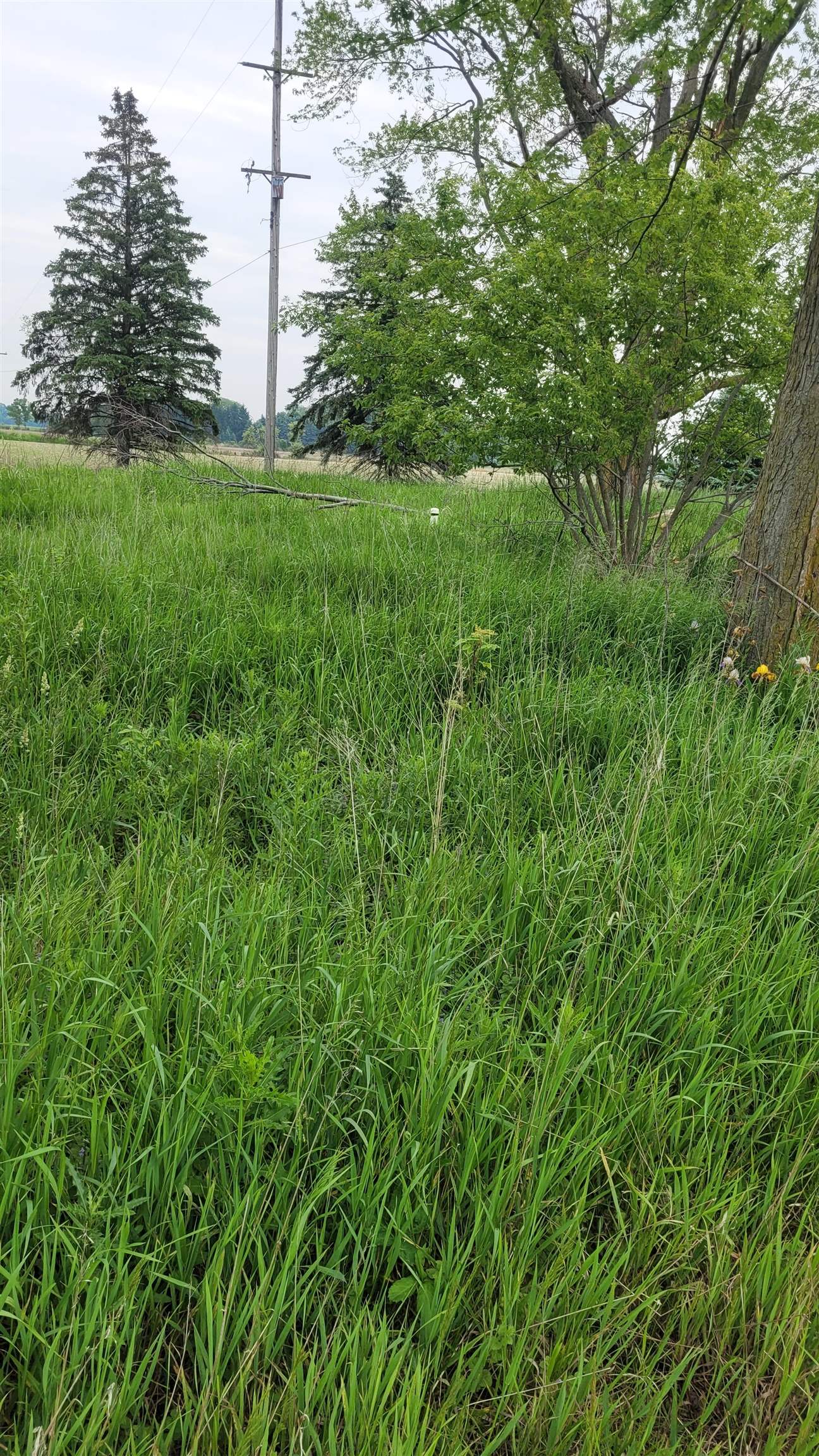 2305 W Juddville Road Property Photo 3