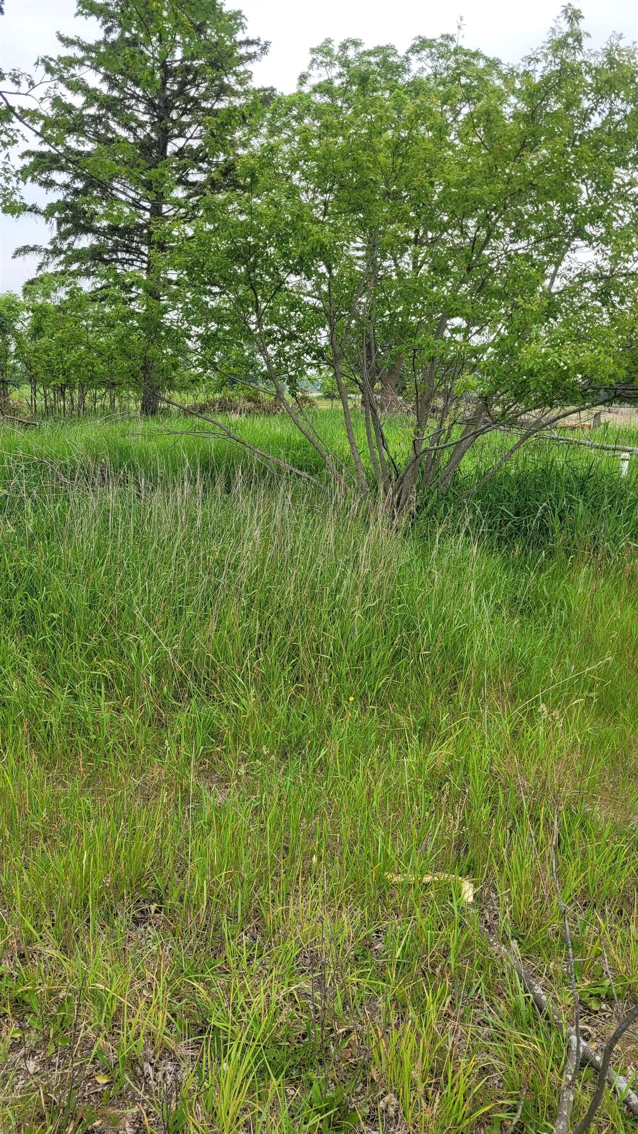 2305 W Juddville Road Property Photo 5