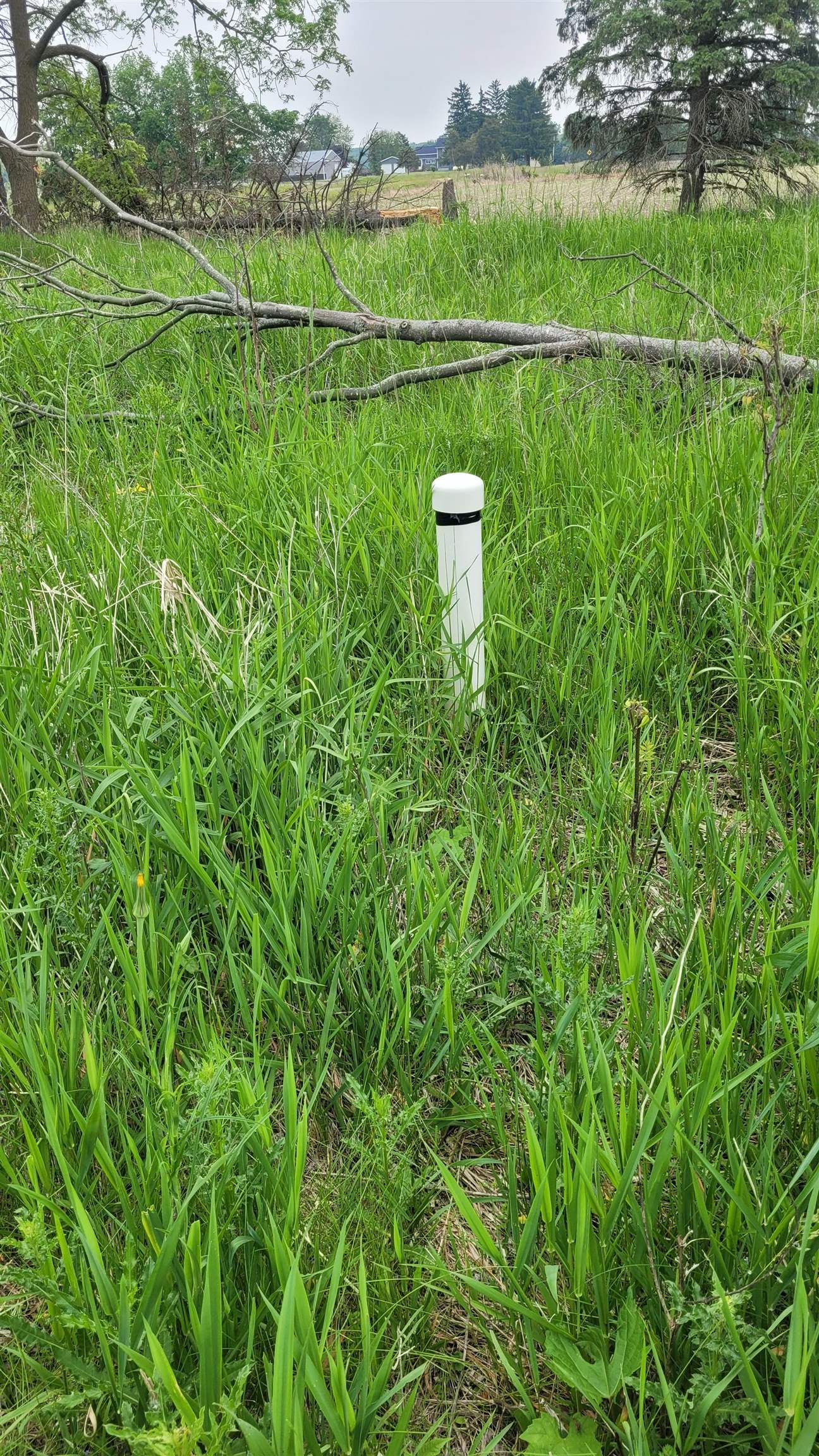 2305 W Juddville Road Property Photo 7