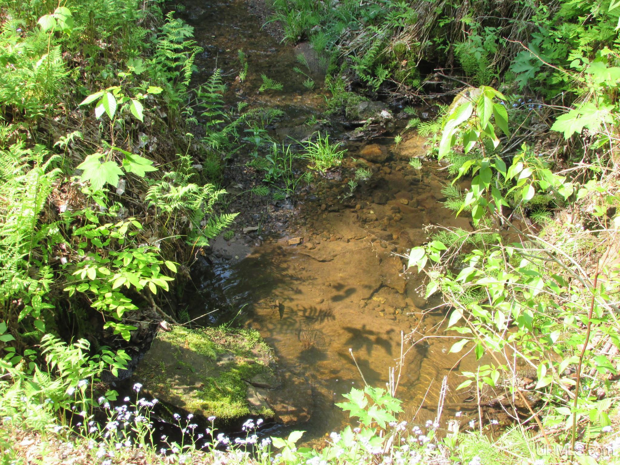20517 Park Road Road Property Photo 69
