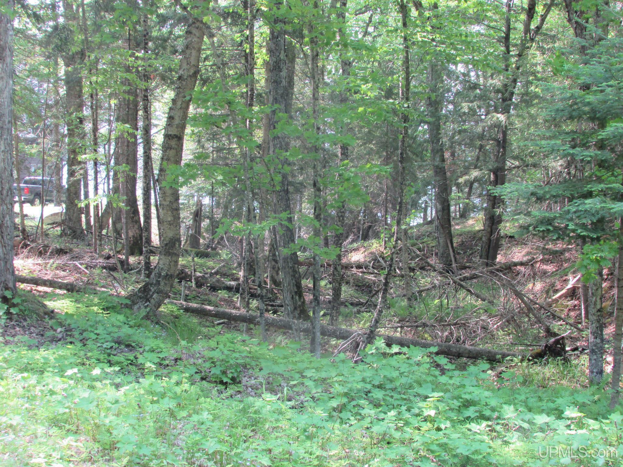 20517 Park Road Road Property Photo 73