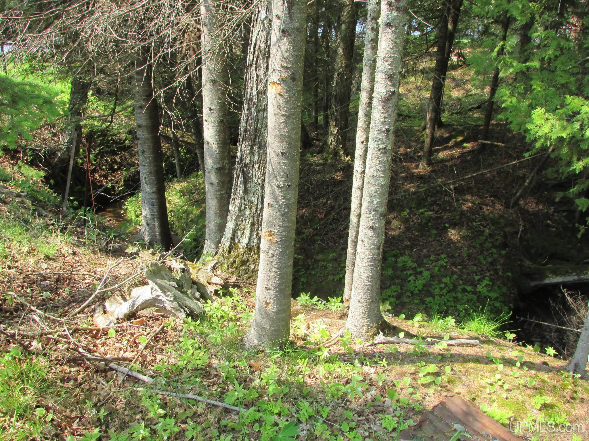 20517 Park Road Road Property Photo 74