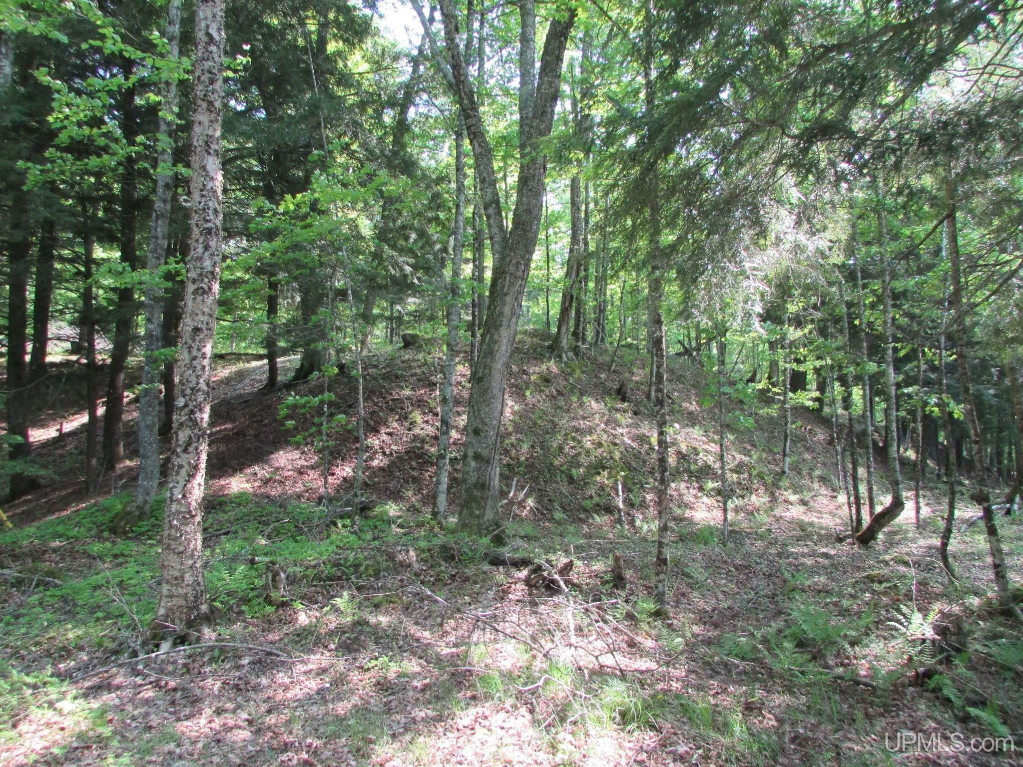 20517 Park Road Road Property Photo 75