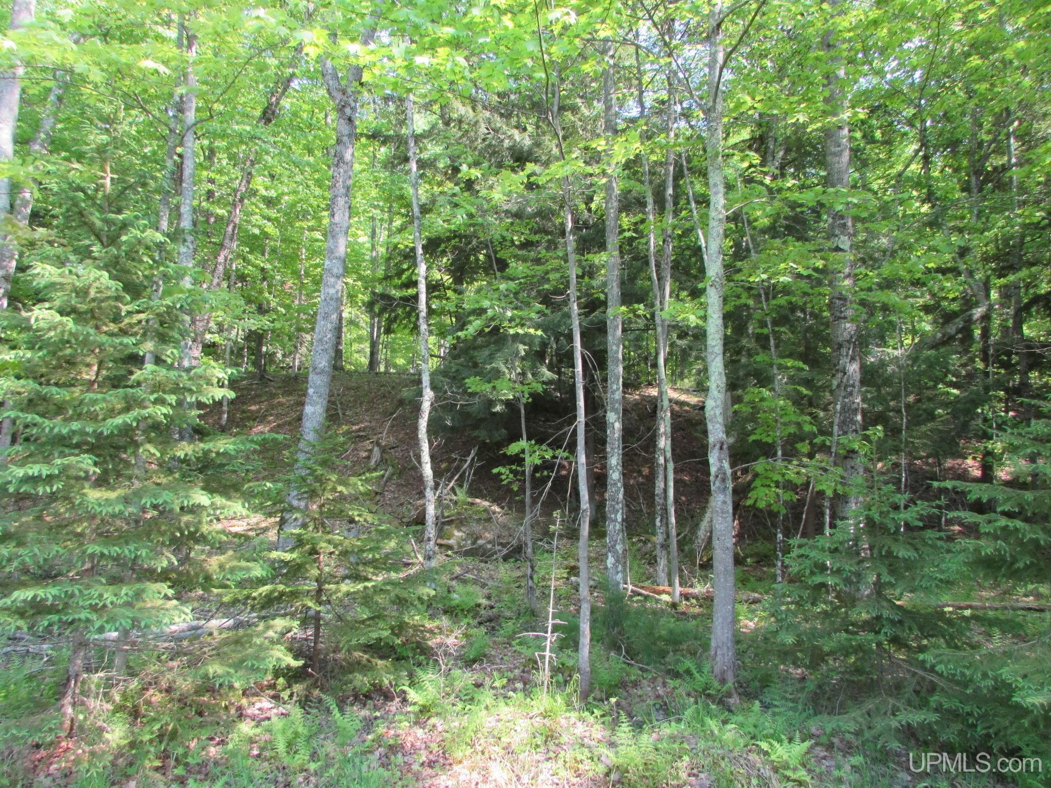 20517 Park Road Road Property Photo 76