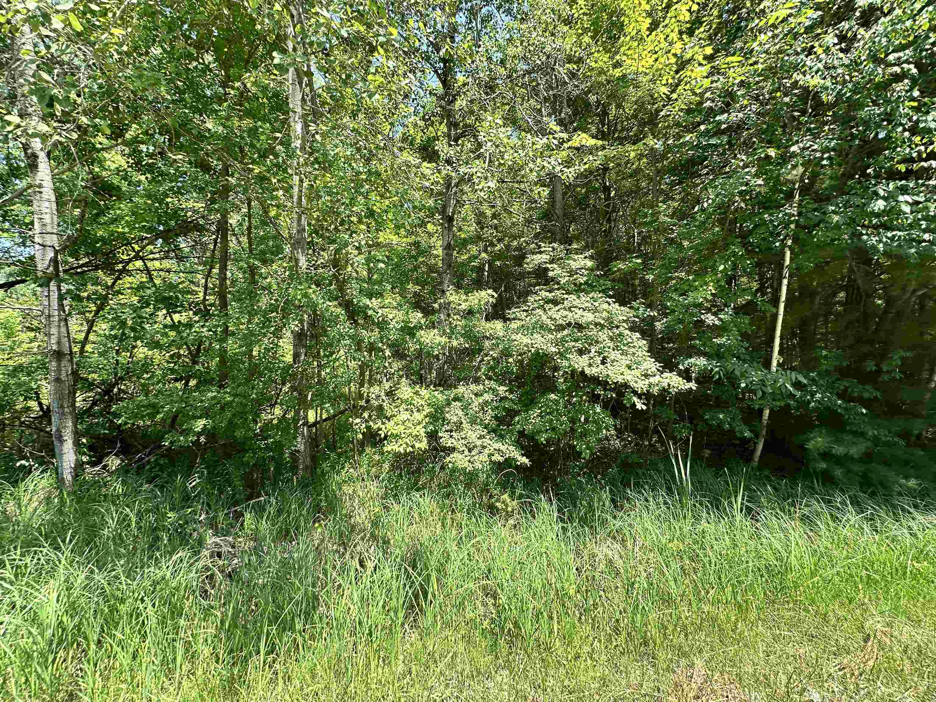 Vl Pinconning Road Property Photo 1