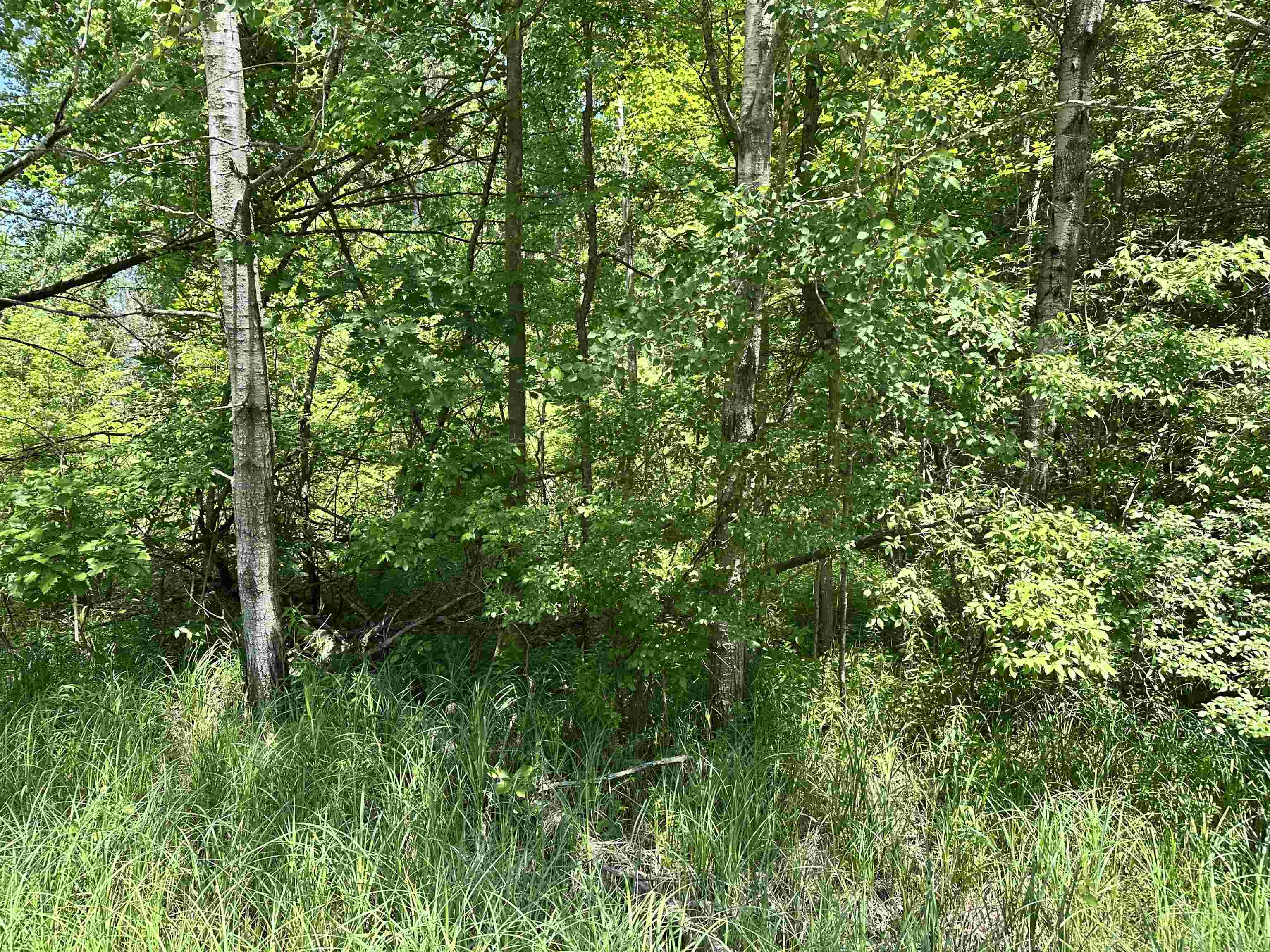 Vl Pinconning Road Property Photo 3