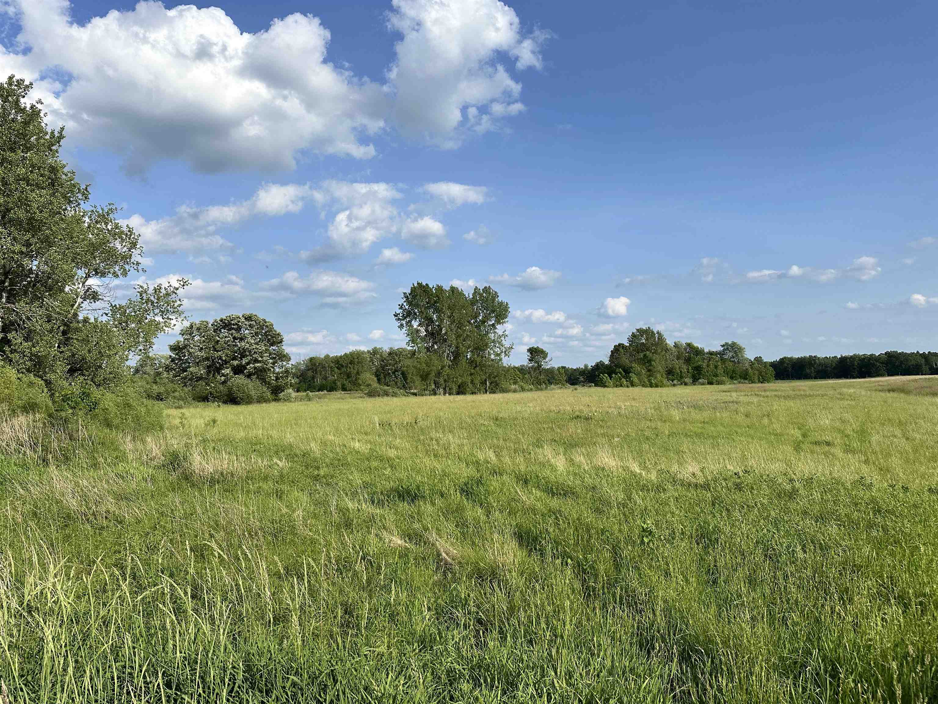 60 Estey Road Property Photo 1