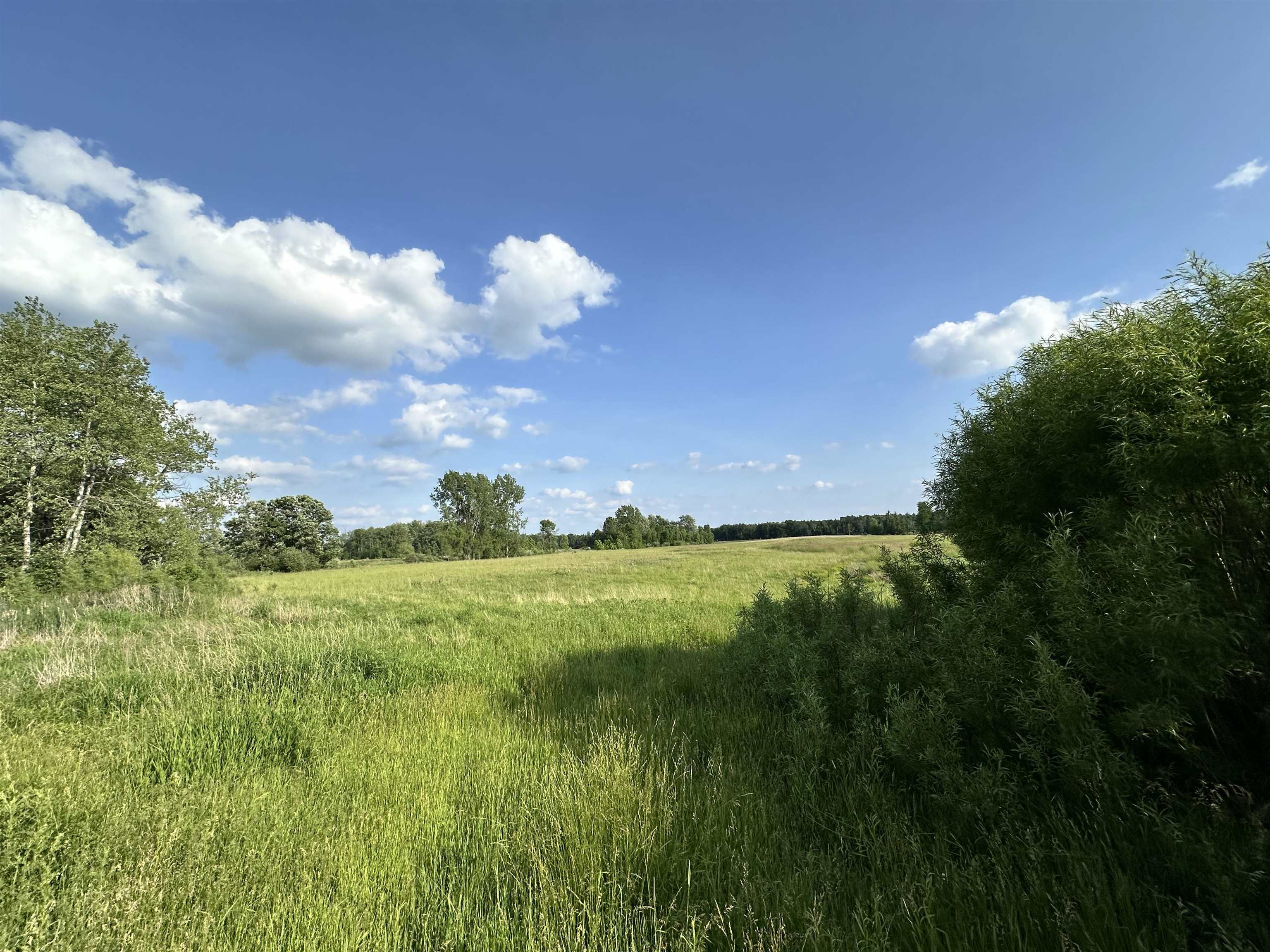 60 Estey Road Property Photo 6