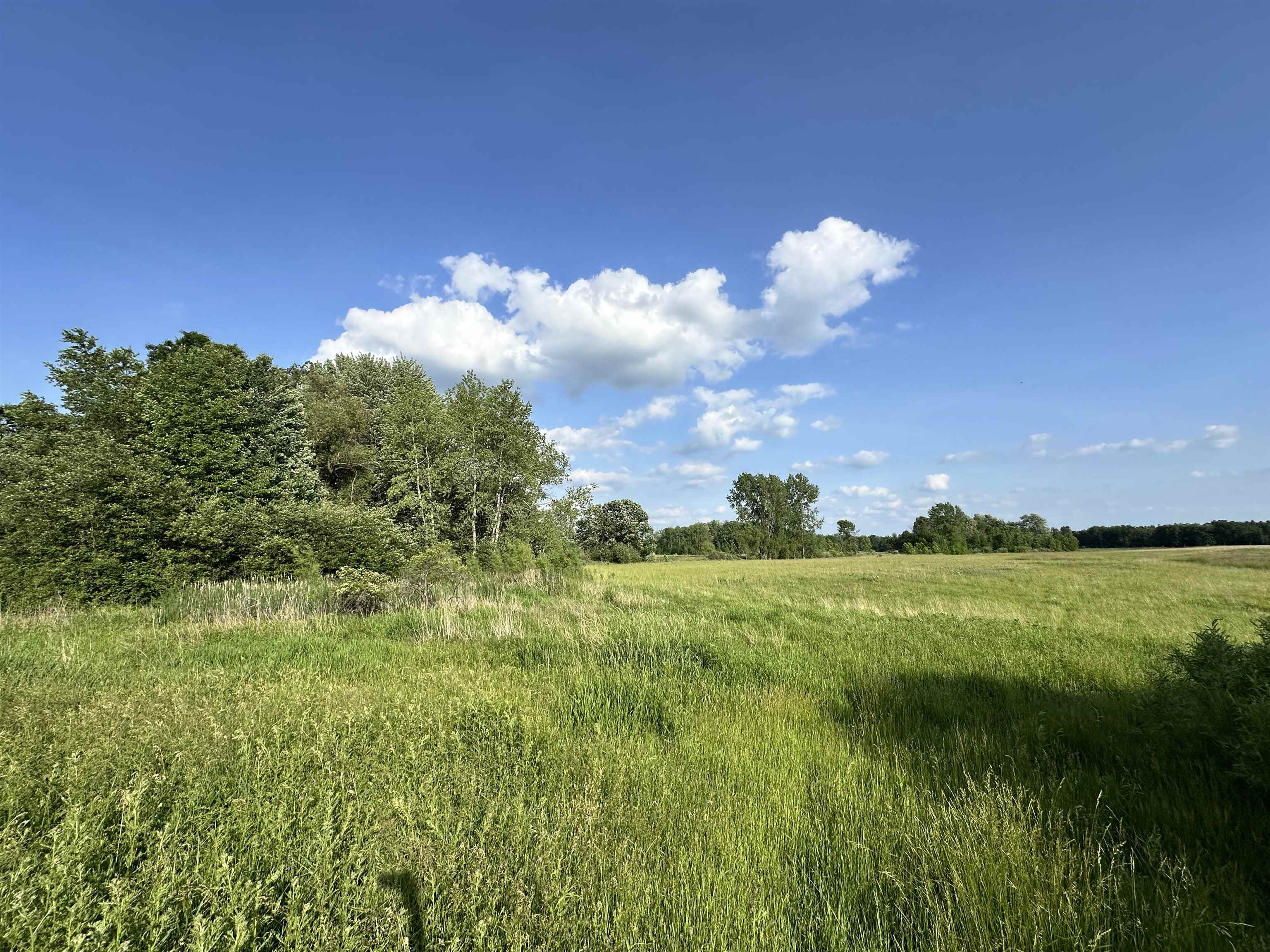 60 Estey Road Property Photo 7