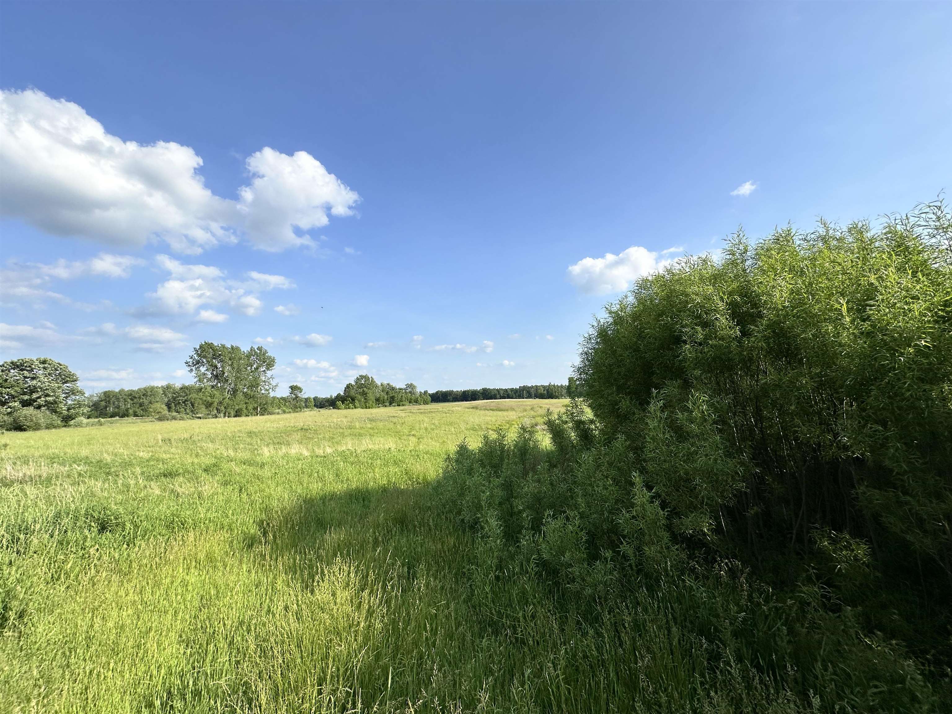60 Estey Road Property Photo 8