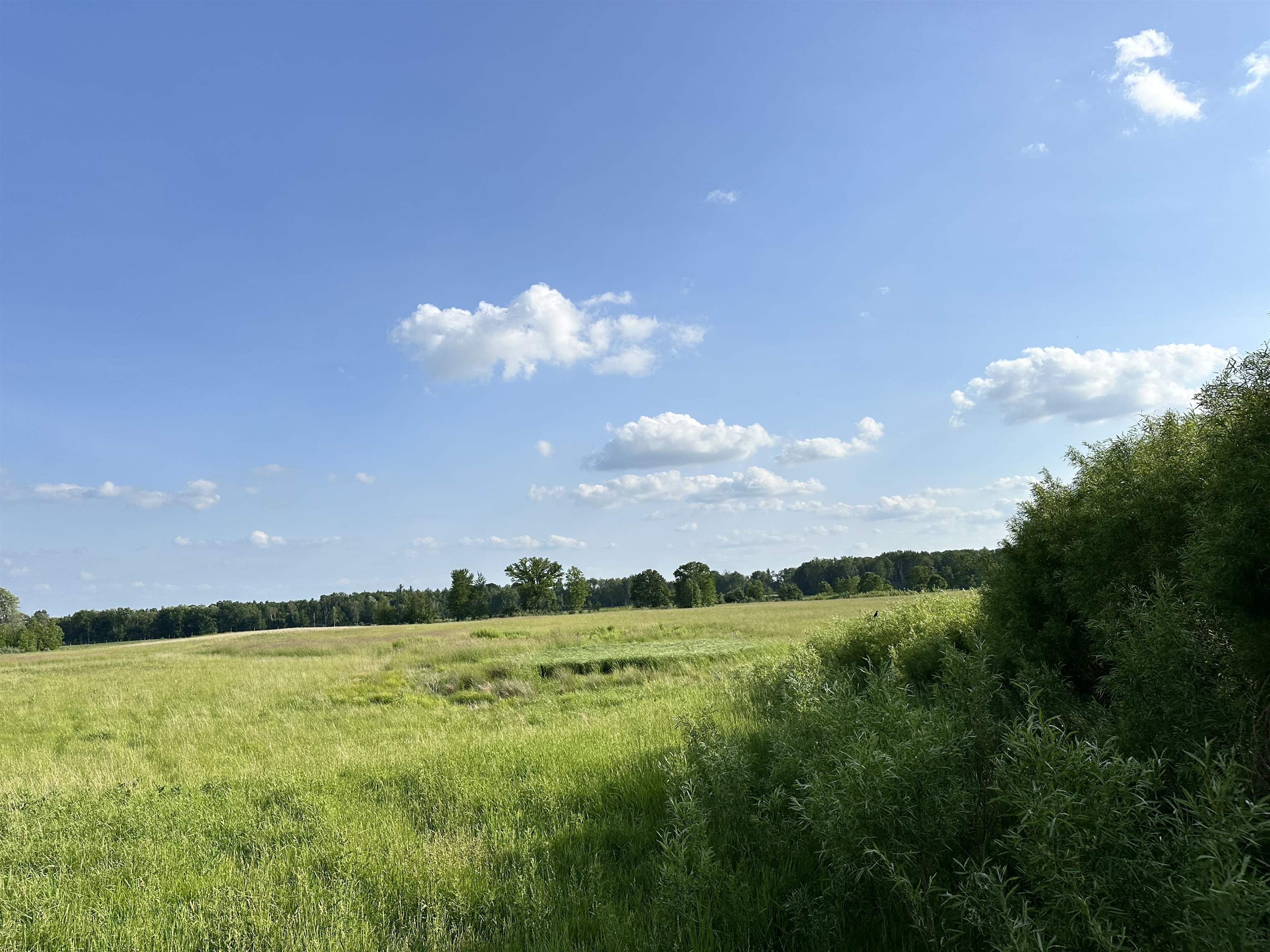 60 Estey Road Property Photo 10