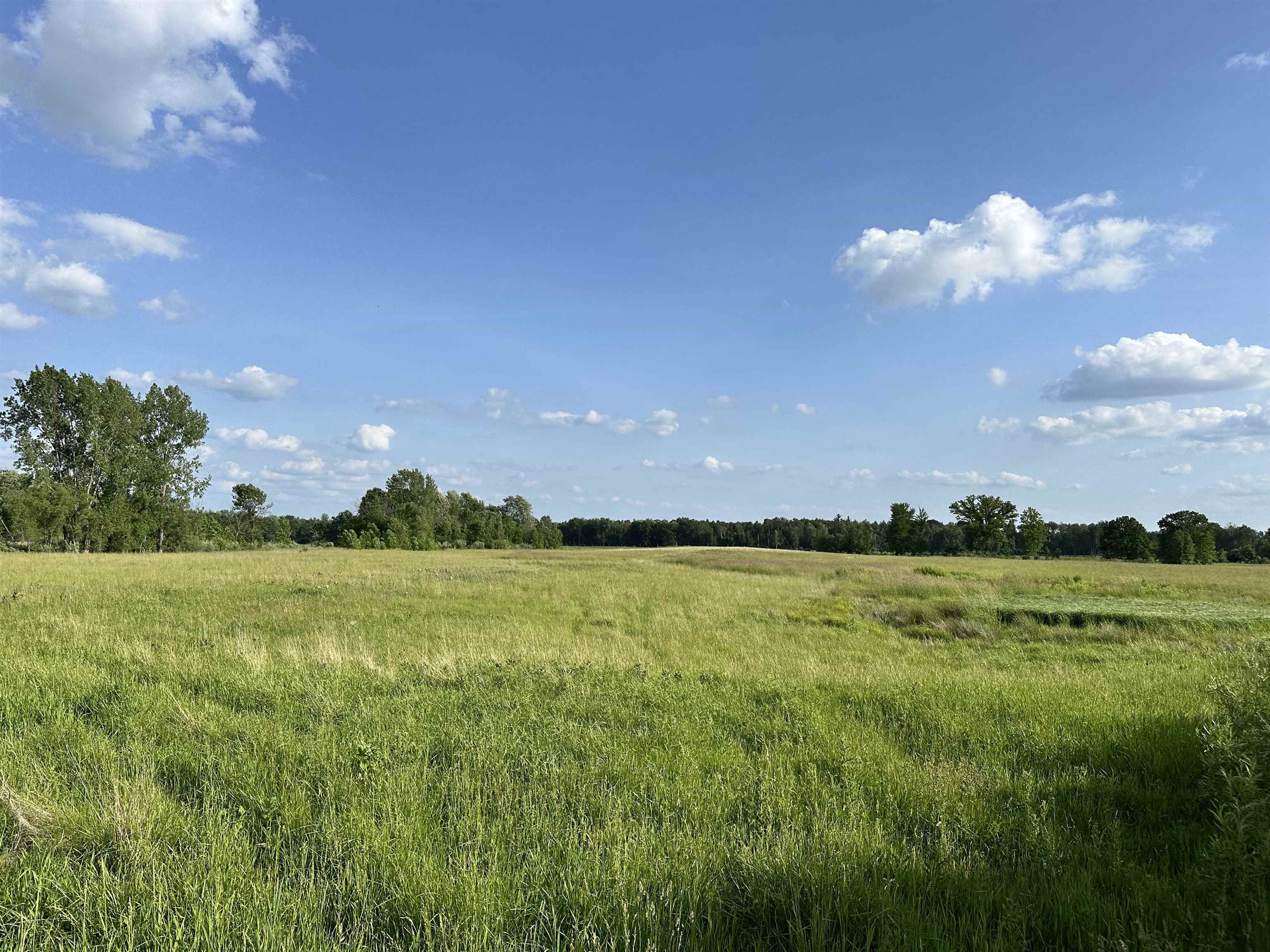 60 Estey Road Property Photo 11