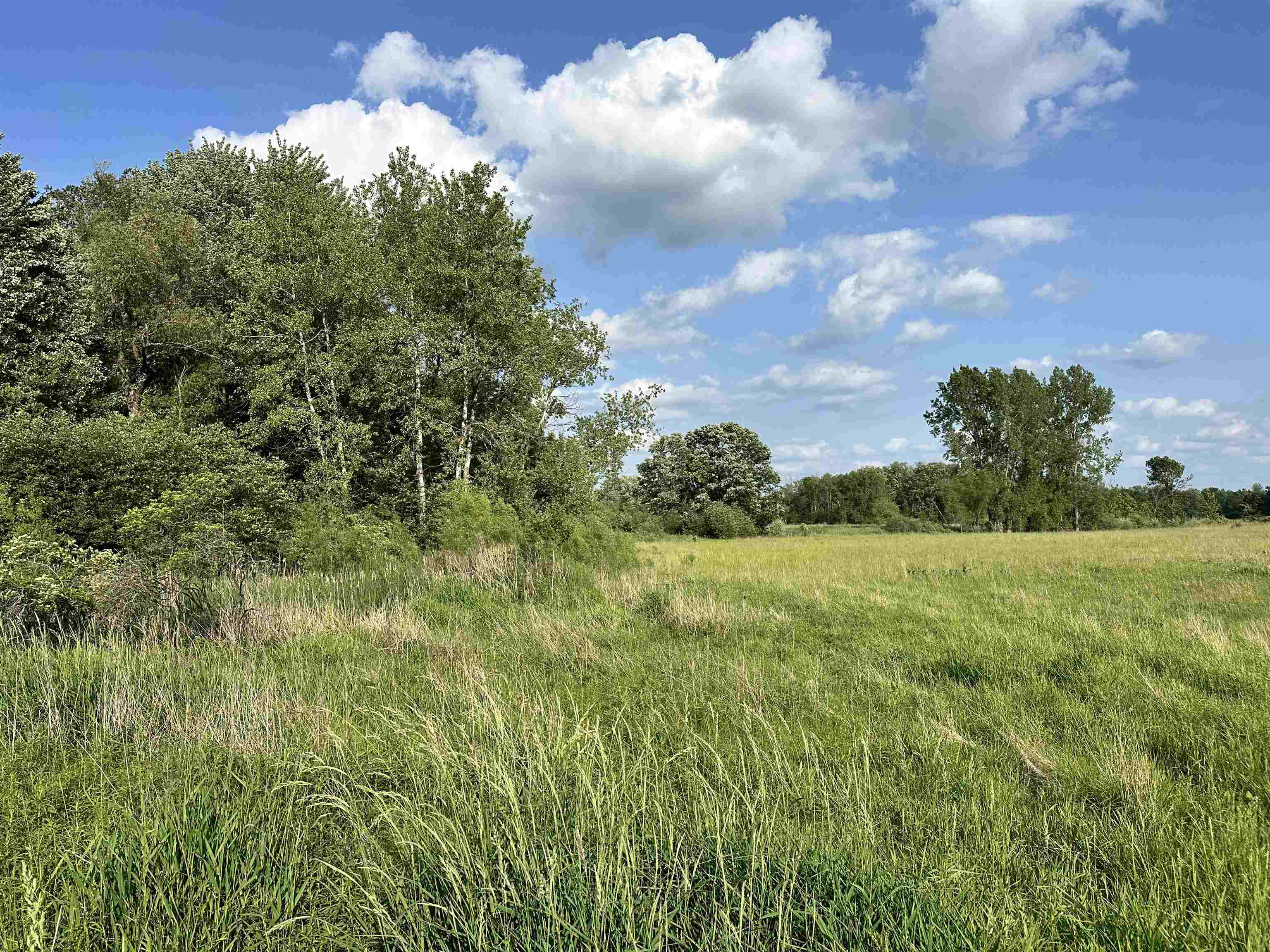 60 Estey Road Property Photo 12