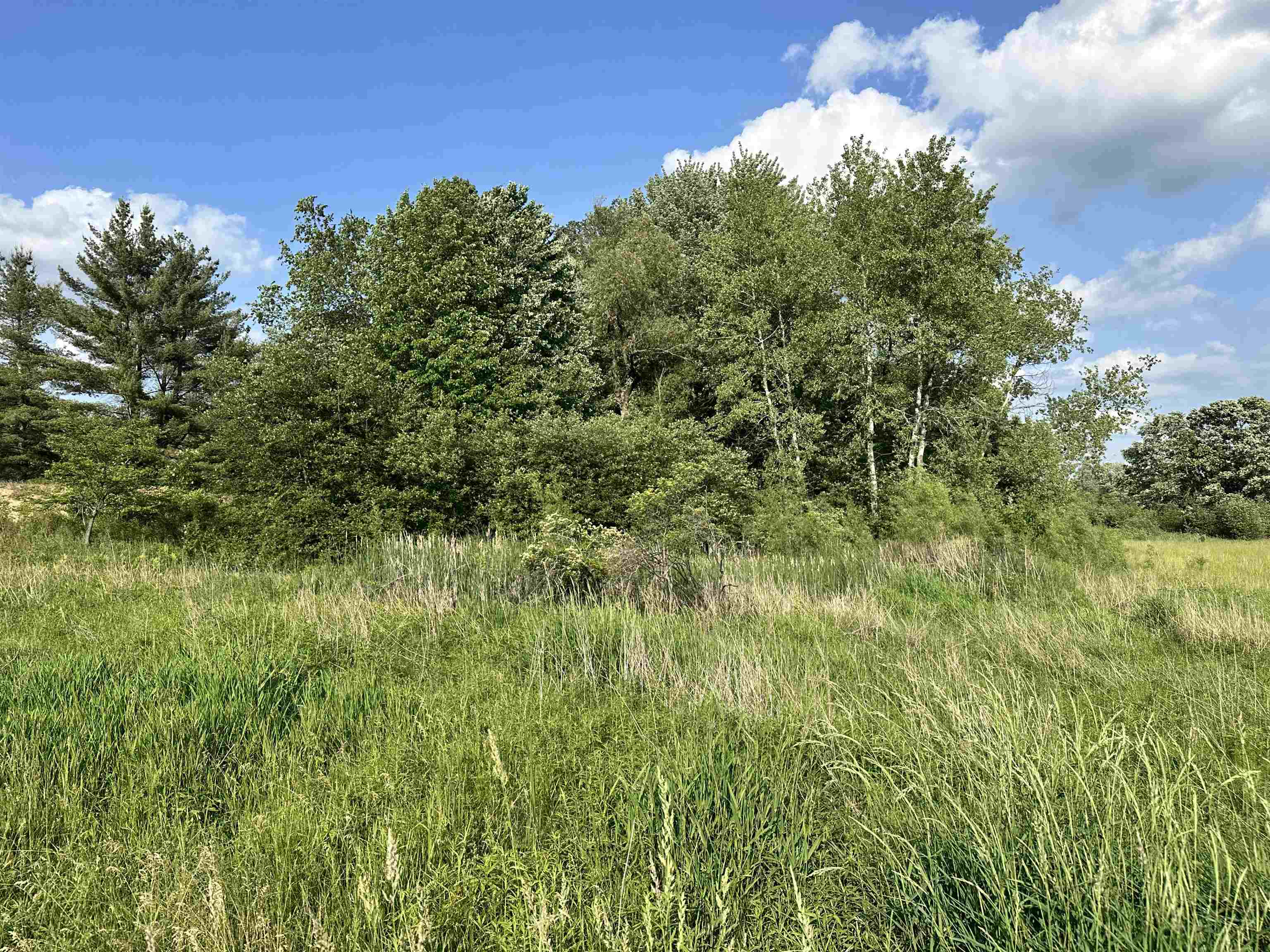 60 Estey Road Property Photo 13