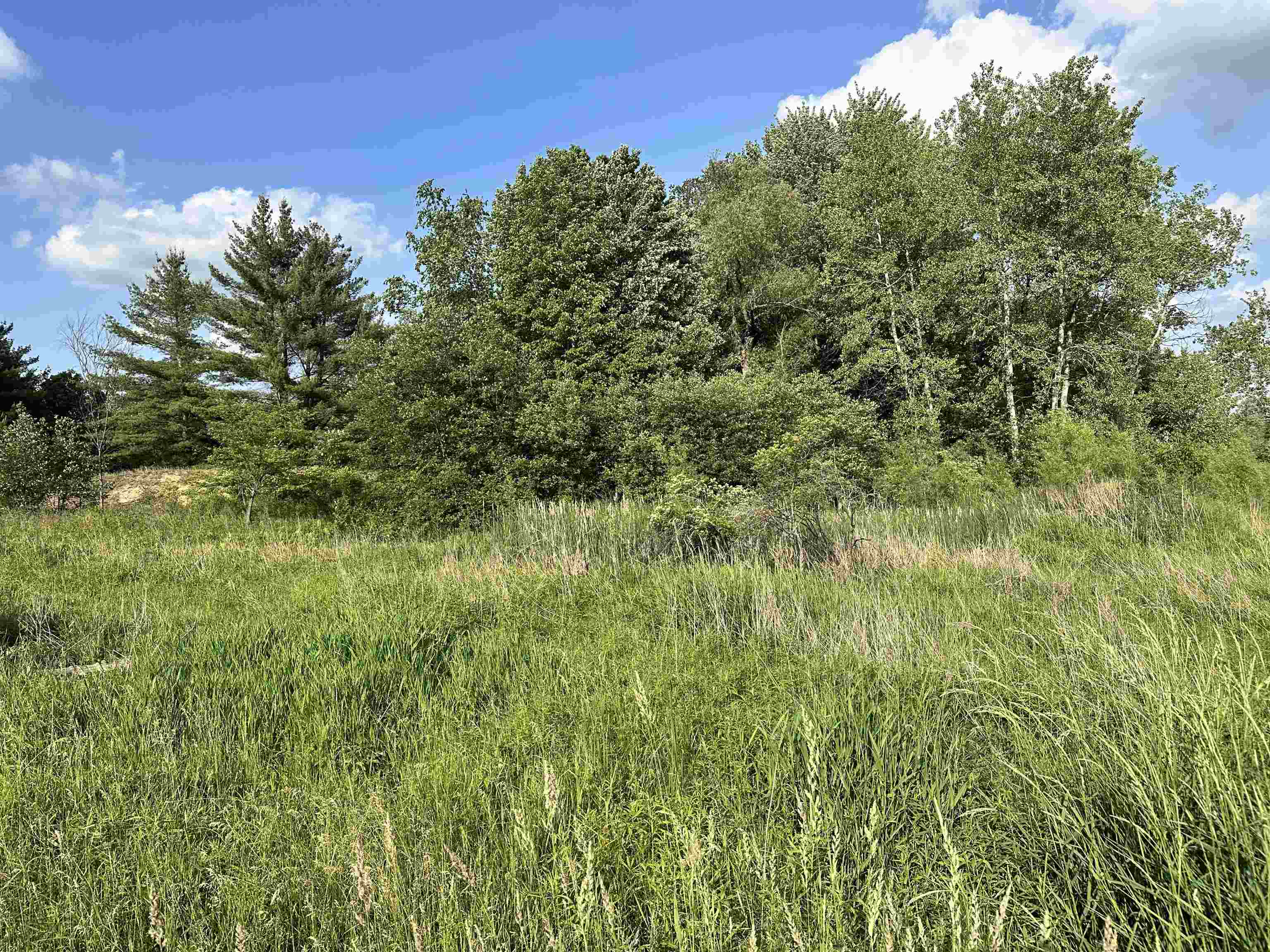 60 Estey Road Property Photo 14