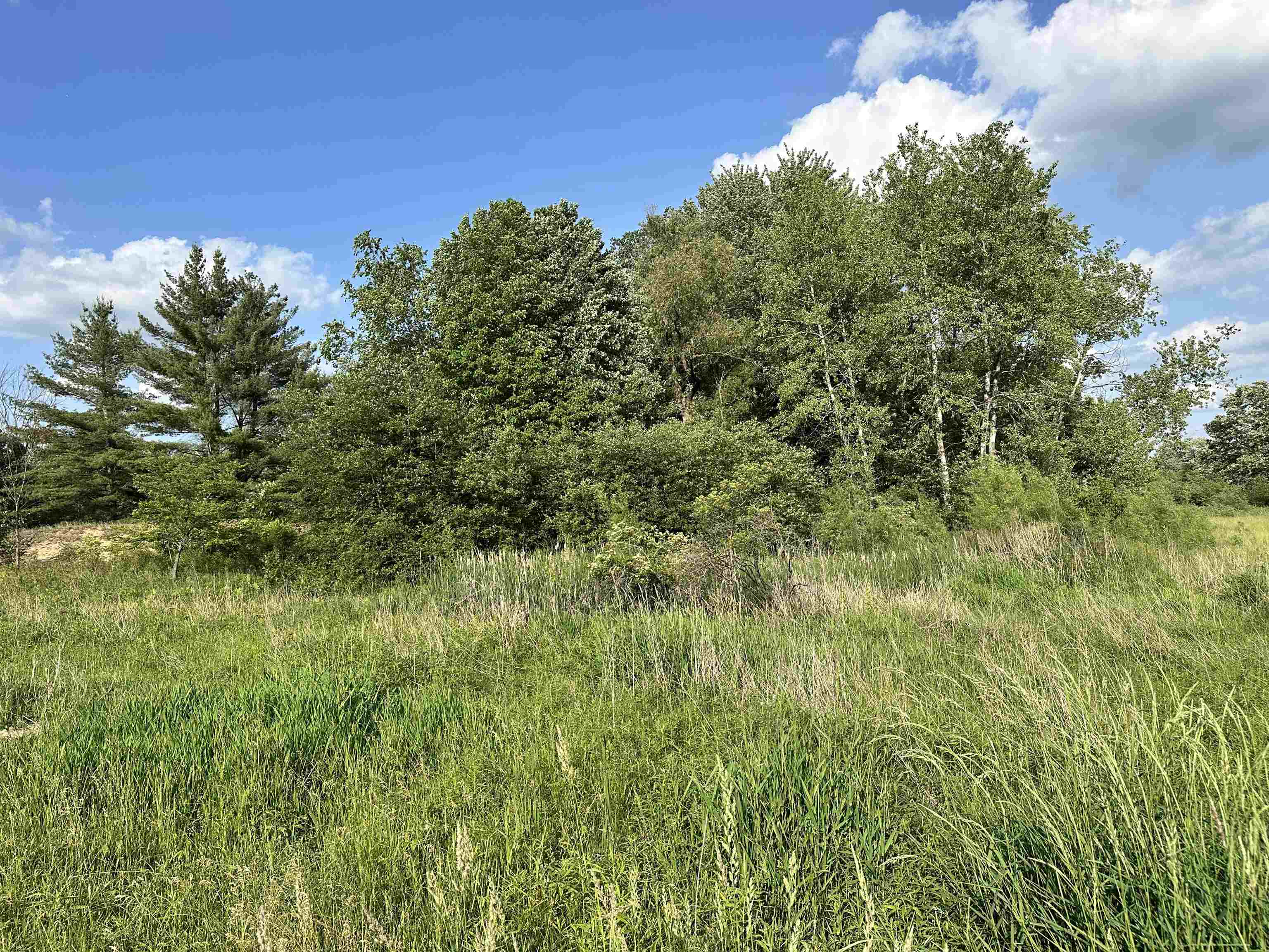 60 Estey Road Property Photo 15