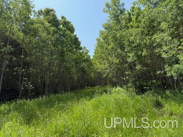 Tbd First Crossing Road Property Photo 6