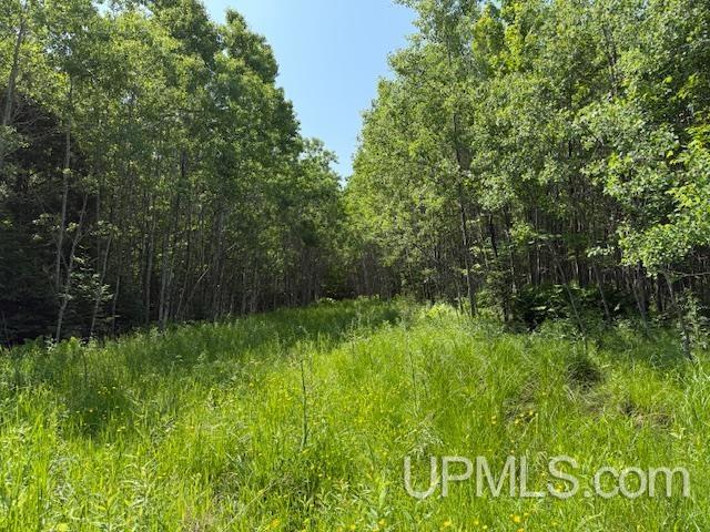 Tbd First Crossing Road Property Photo 20
