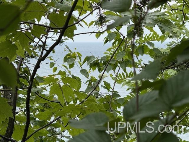 Tbd Five Mile Pt Road Property Photo 5