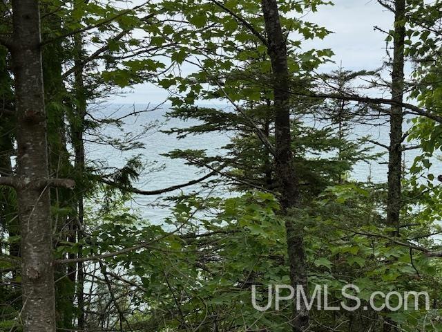 Tbd Five Mile Pt Road Property Photo 7