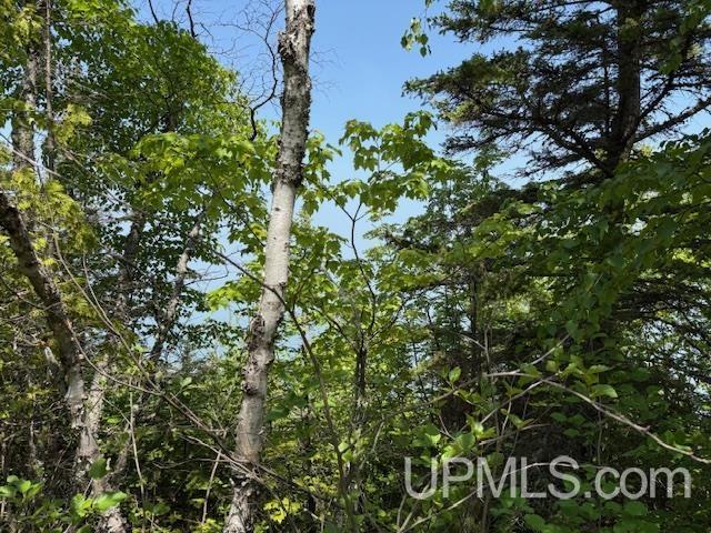 Tbd Five Mile Pt Road Property Photo 10