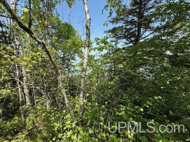 Tbd Five Mile Pt Road Property Photo 11