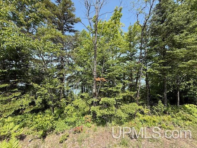 Tbd Five Mile Pt Road Property Photo 12