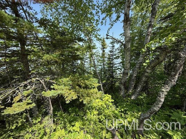Tbd Five Mile Pt Road Property Photo 13