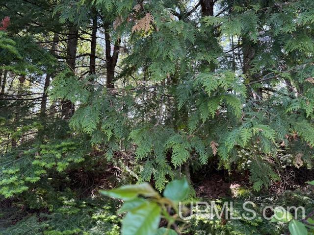 Tbd Five Mile Pt Road Property Photo 14