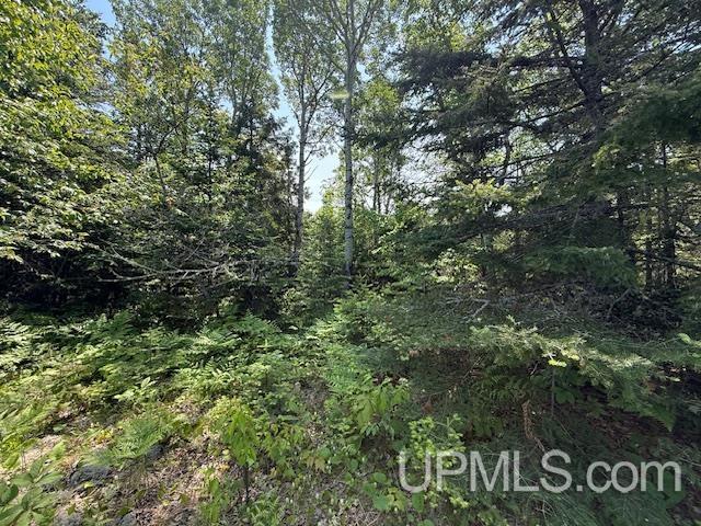 Tbd Five Mile Pt Road Property Photo 15