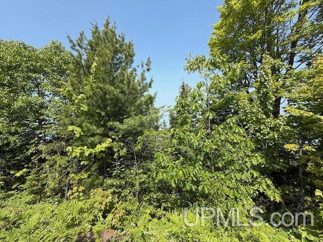 Tbd Five Mile Pt Road Property Photo 17