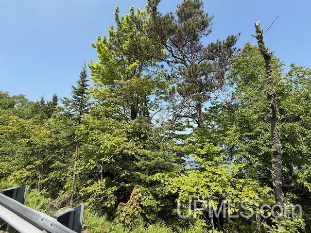 Tbd Five Mile Pt Road Property Photo 18