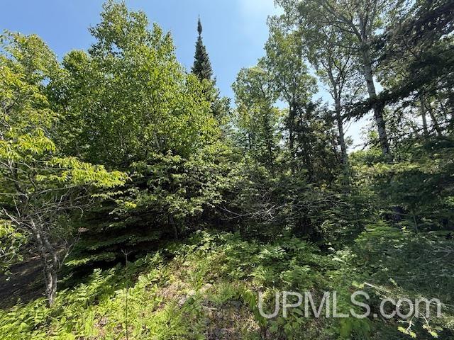 Tbd Five Mile Pt Road Property Photo 19