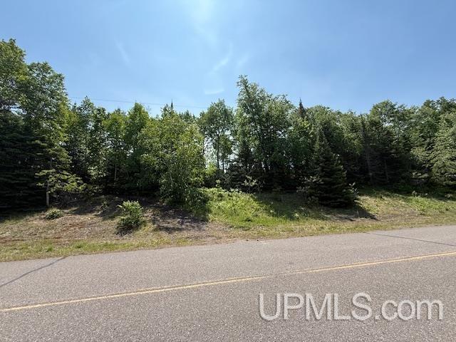 Tbd Five Mile Pt Road Property Photo 20
