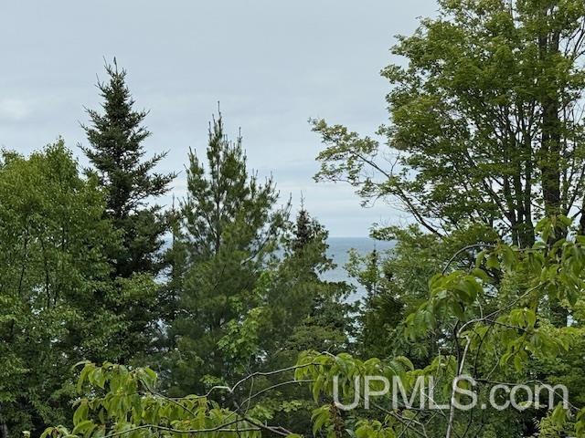 Tbd Five Mile Pt Road Property Photo 25