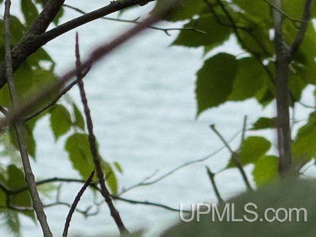 Tbd Five Mile Pt Road Property Photo 26