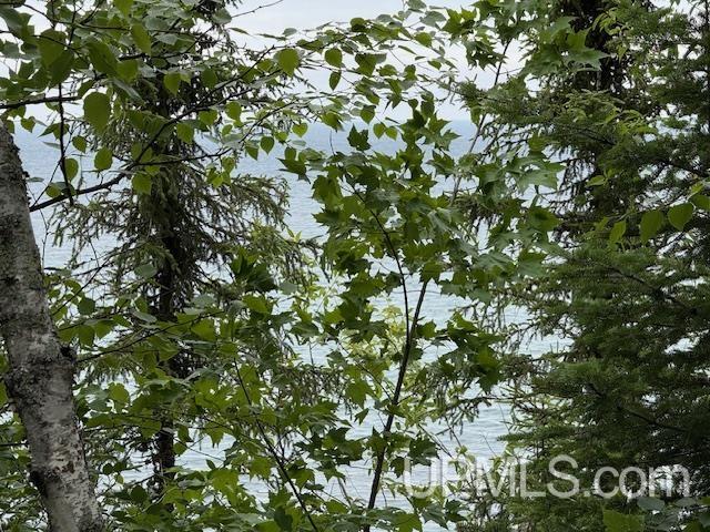 Tbd Five Mile Pt Road Property Photo 27