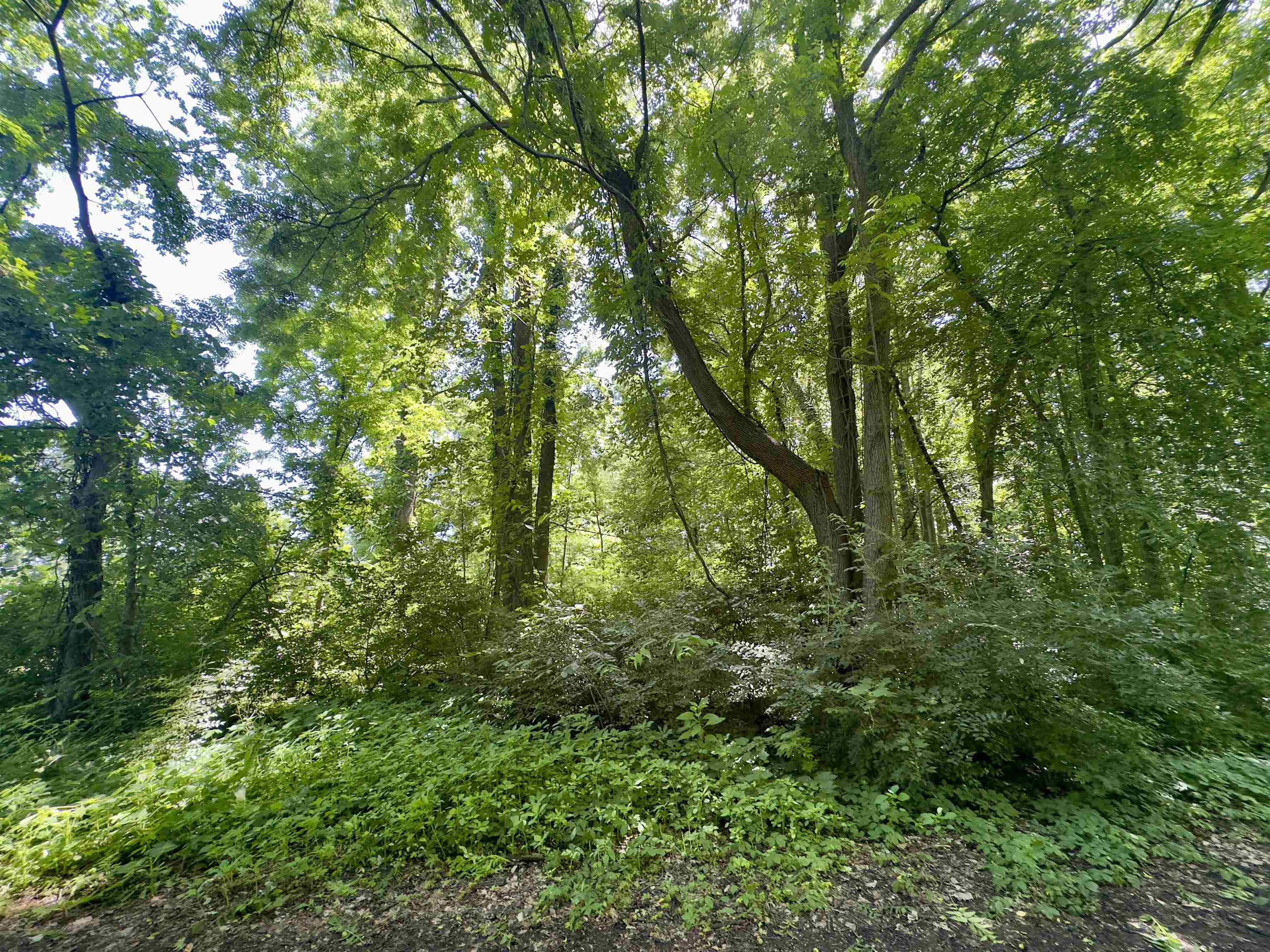 1715 Watson Avenue Property Photo 1