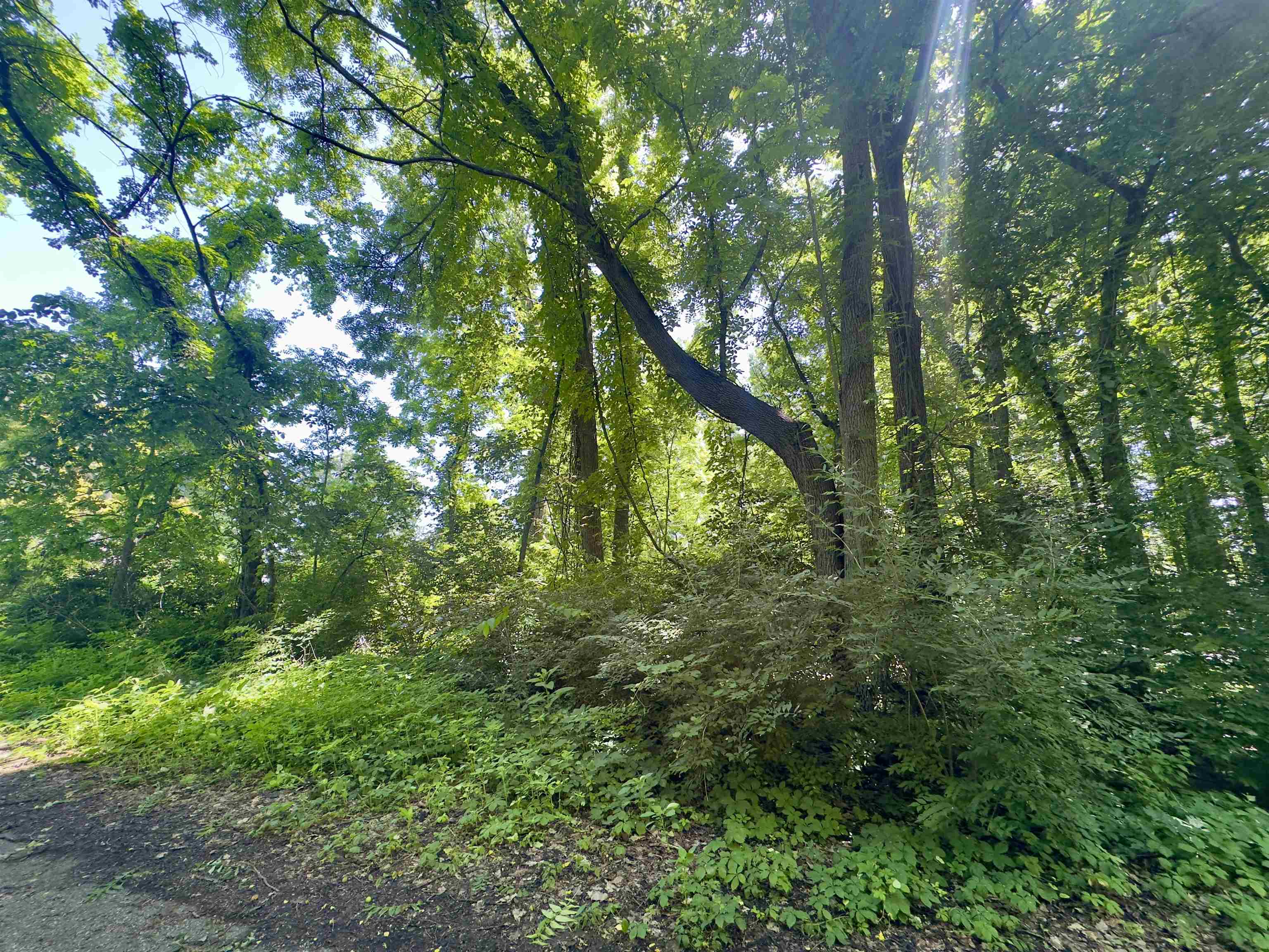 1715 Watson Avenue Property Photo 3