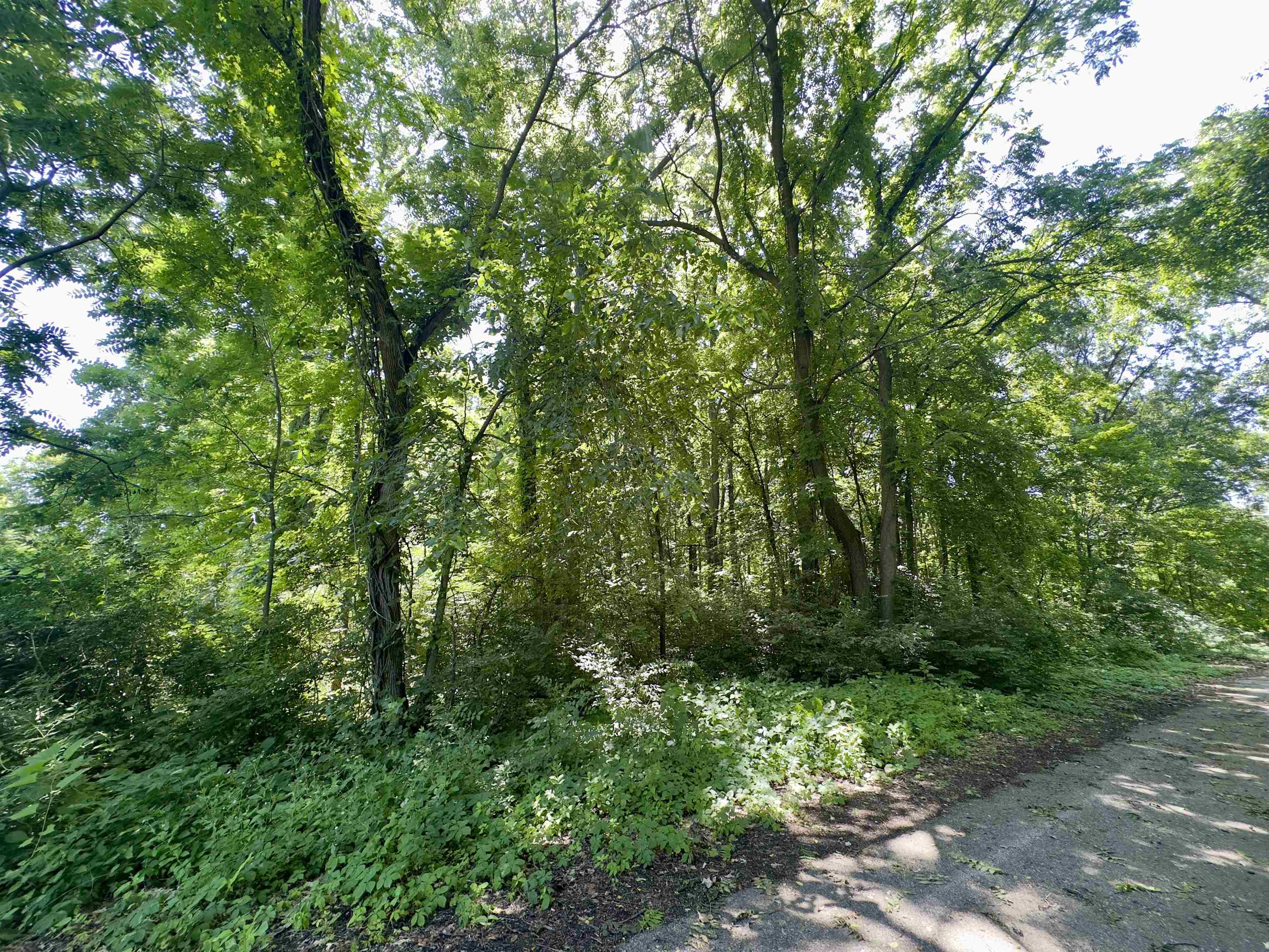 1715 Watson Avenue Property Photo 4