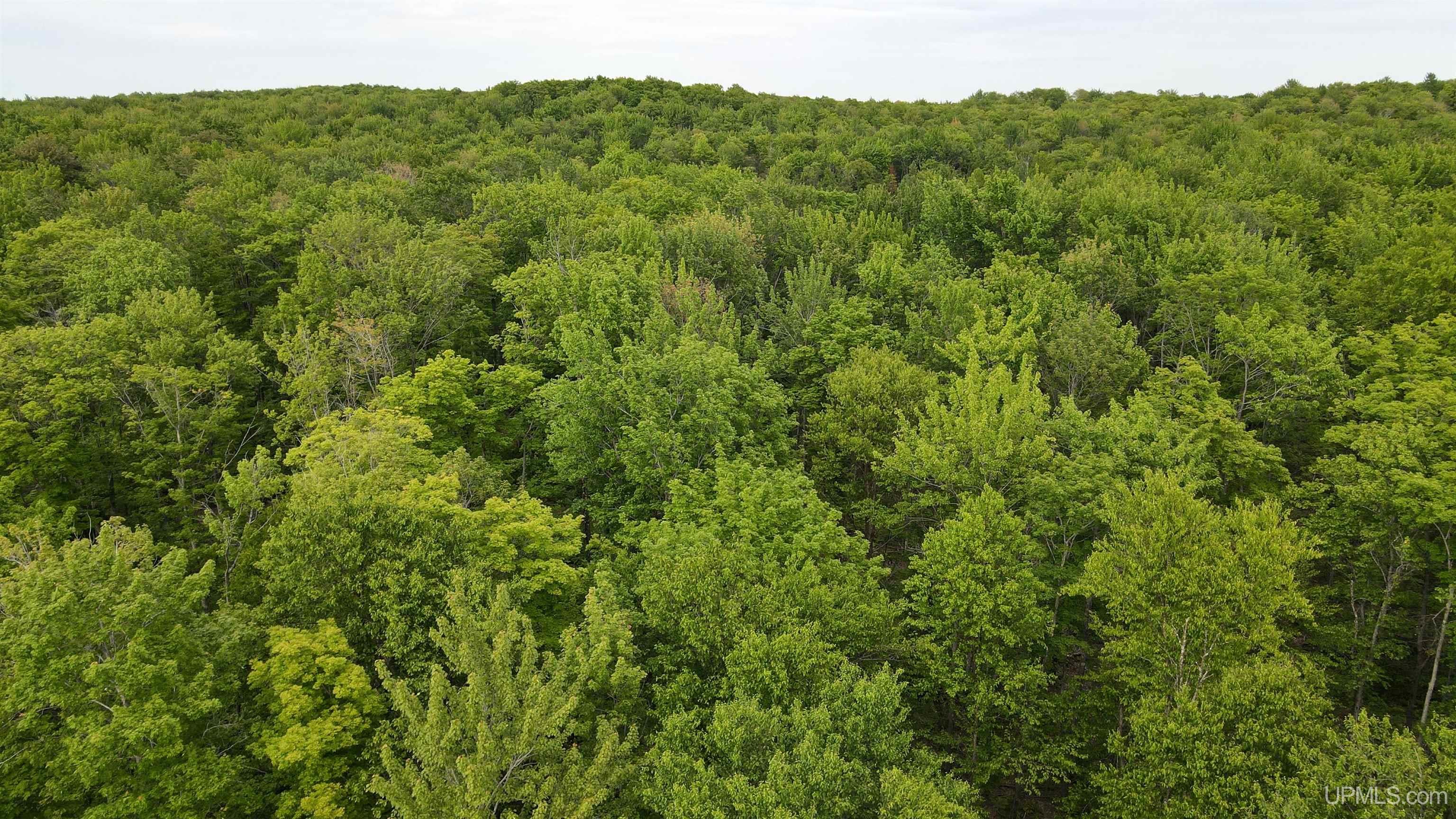Tbd Superior Shores (little America) Road Property Photo 2