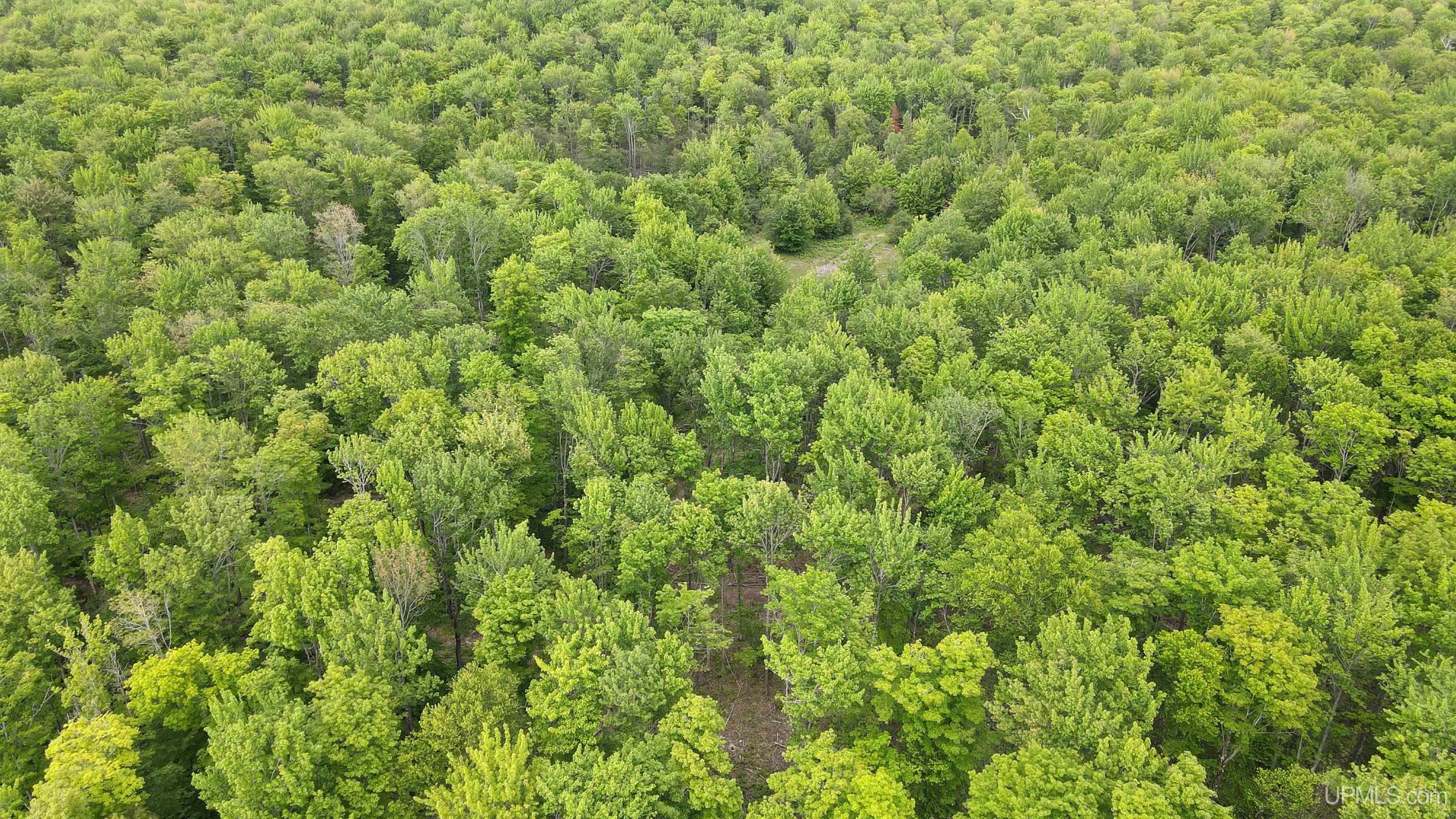 Tbd Superior Shores (little America) Road Property Photo 12